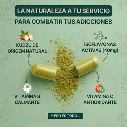 Kudzu Solvia 40 mg de isoflavonas – 100% natural