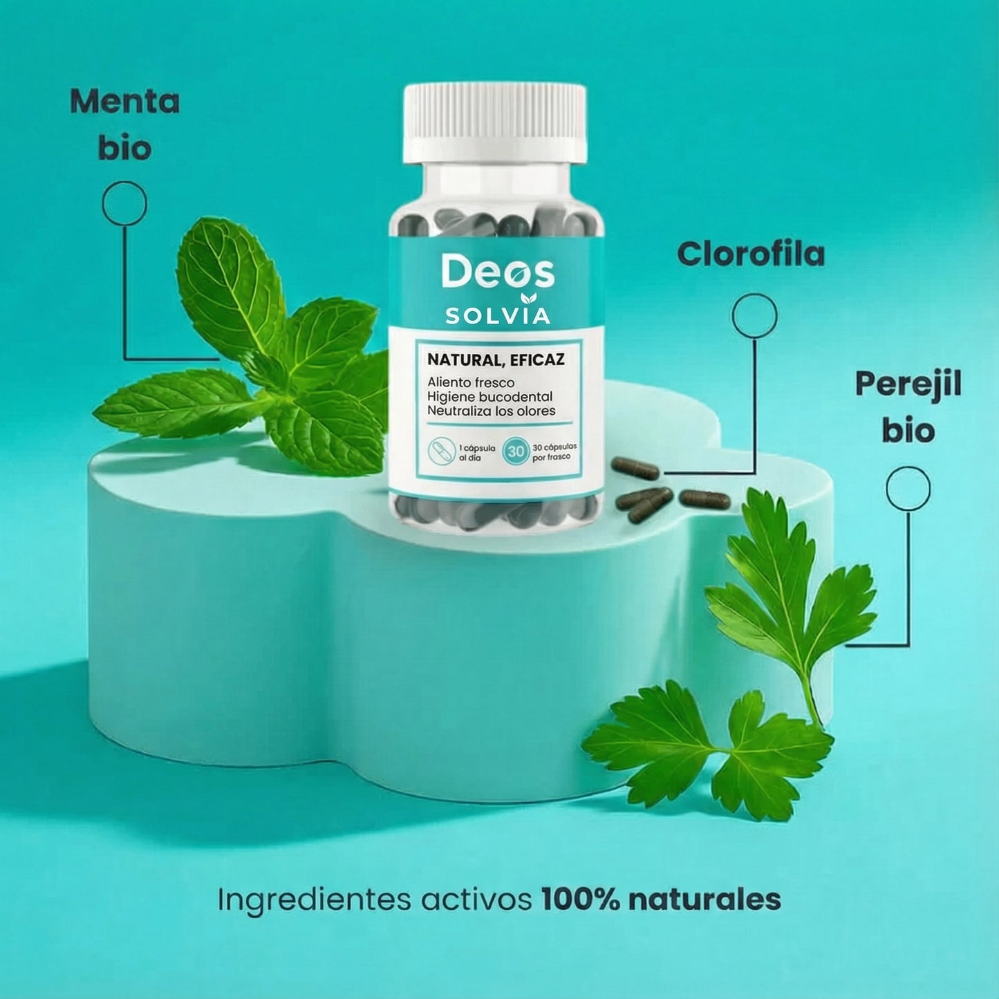 DEOS | COMPLEMENTO ANTIOLOR