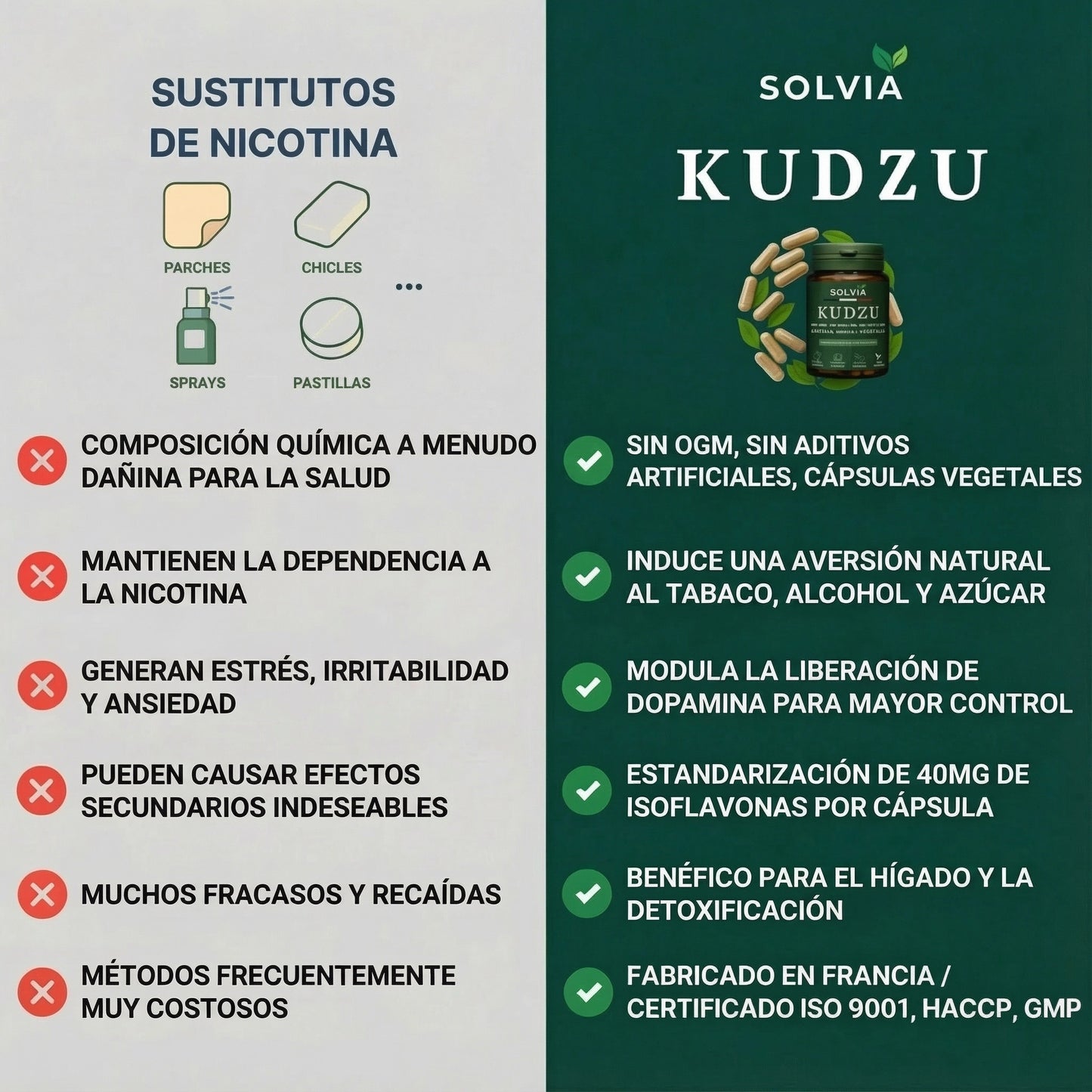 Kudzu Solvia 40 mg de isoflavonas – 100% natural