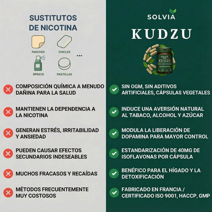Kudzu Solvia 40 mg de isoflavonas – 100% natural