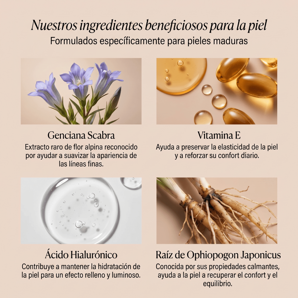 Base de maquillaje 4 - en - 1 Solvia® - Solvia ES