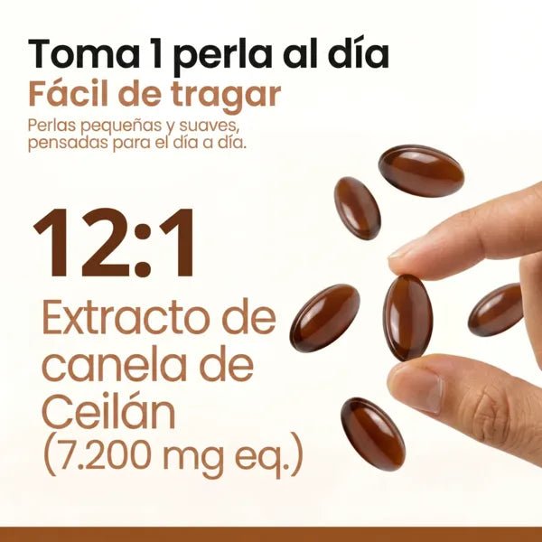 Canela de Ceilán, equivalente a 7200 mg, con aceite MCT - Solvia ES