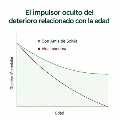 Cápsulas de Superfruta de Amla - Solvia ES