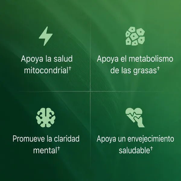 Cápsulas de Superfruta de Amla - Solvia ES