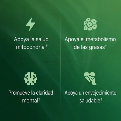 Cápsulas de Superfruta de Amla - Solvia ES