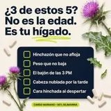 Cardo Mariano- Cuidado completo del hígado en una cápsula al día. - Solvia ES