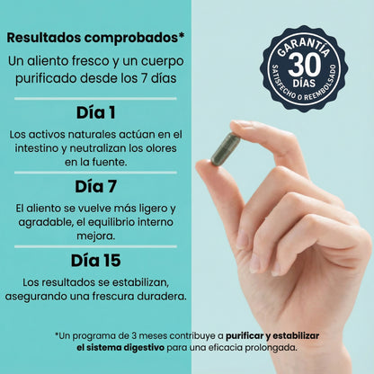 DEOS | COMPLEMENTO ANTIOLOR